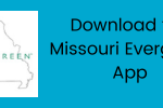Picture title Missouri Evergreen App