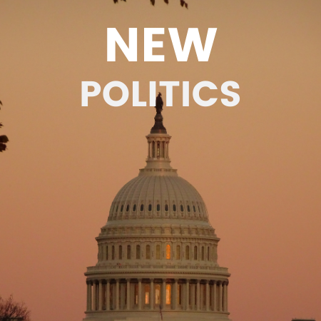 New Politic books for adults