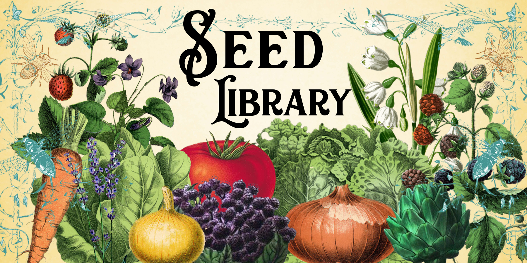 Seed Library